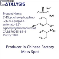 2'-ডাইসাইক্লোহেক্সাইলফসফিনো-2,6-ডি-আই-প্রোপাইল-4-সালফোনাটো-1,1'-বাইফেনাইলহাইড্রেটসোডিয়ামসল্ট সিএএস: 870245-84-4